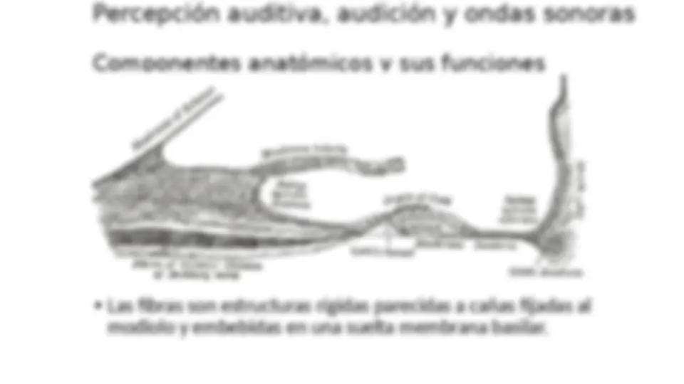 pf23