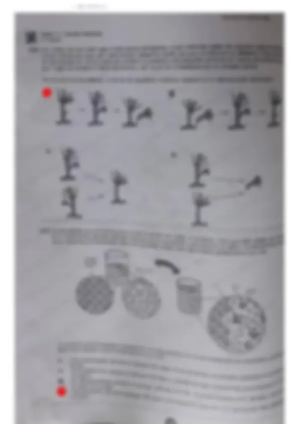 pf4a