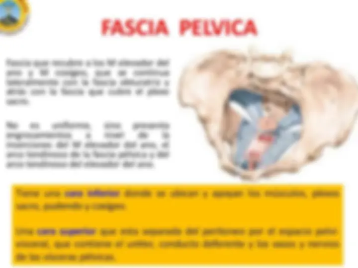 pf14
