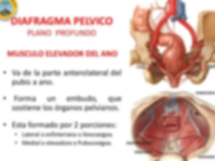 pf5