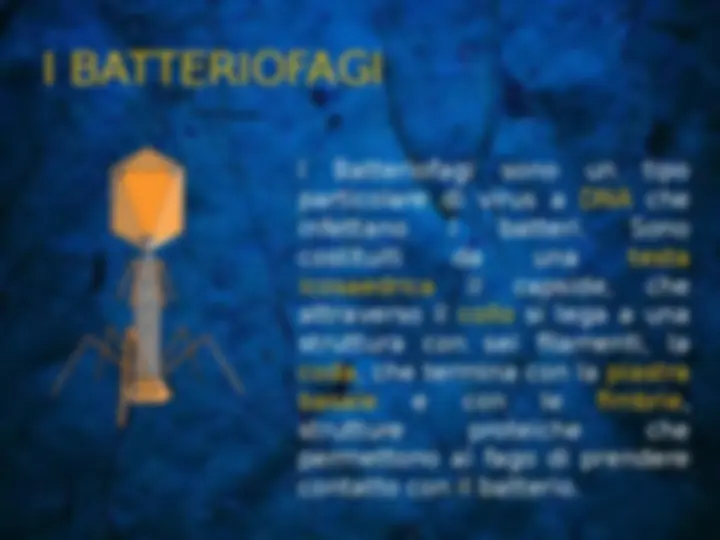pf5