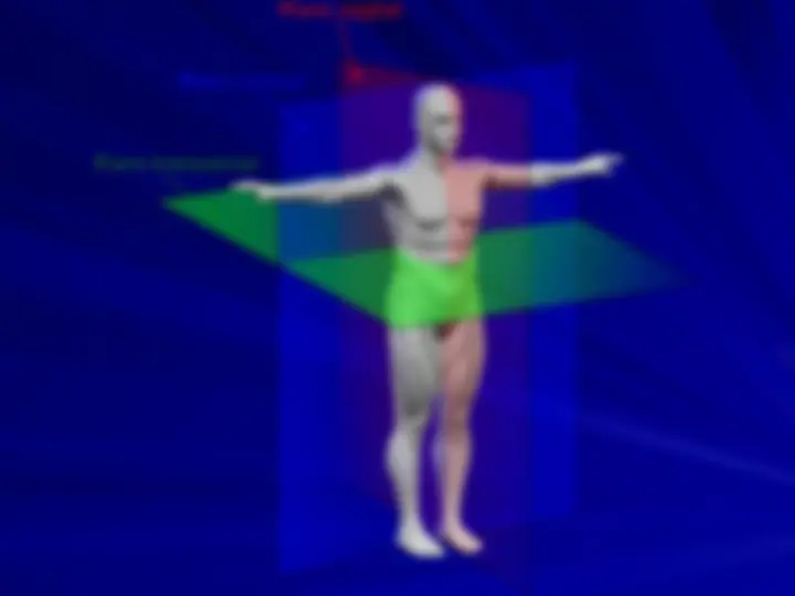 pf16