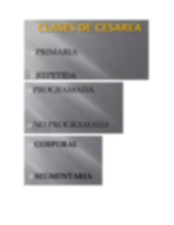 pf13