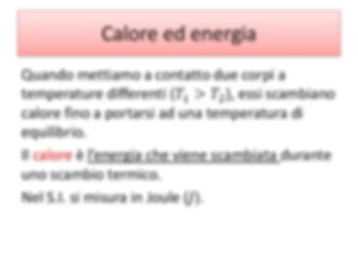 pf19