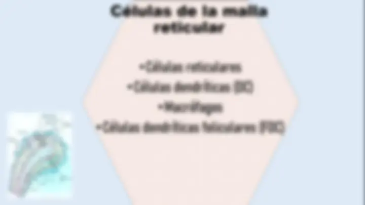 pf13
