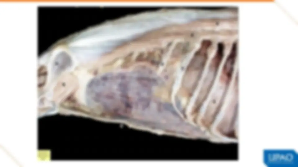 pf3a