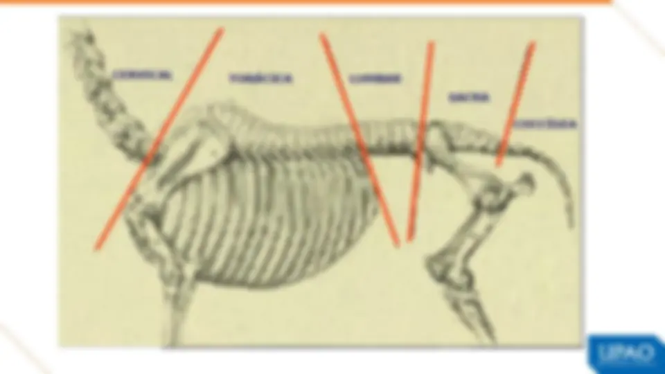 pf5