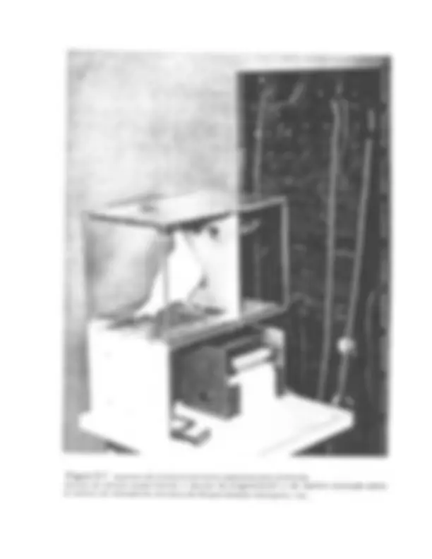pf21