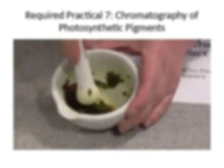 pfa