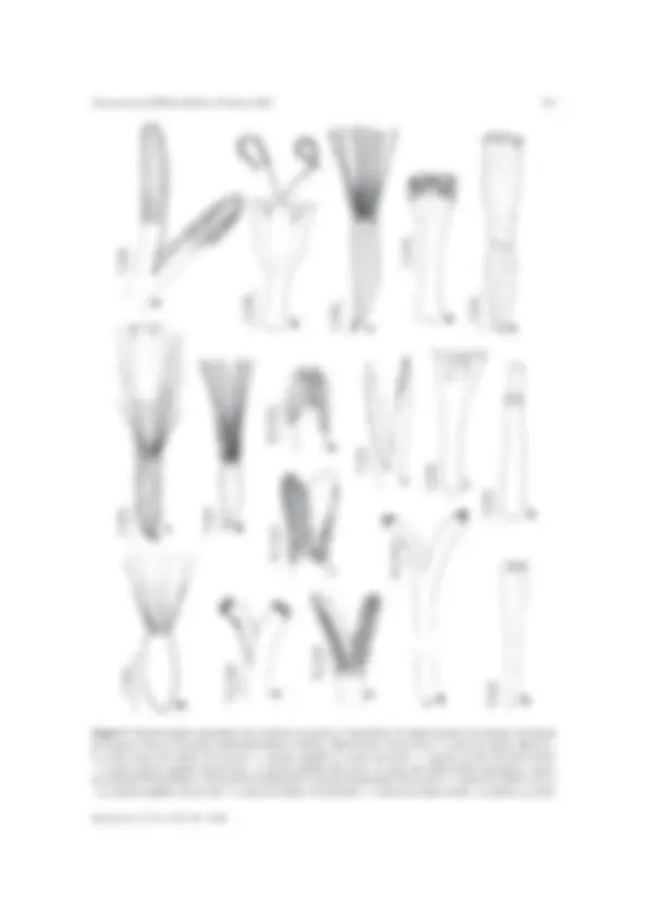 pf13