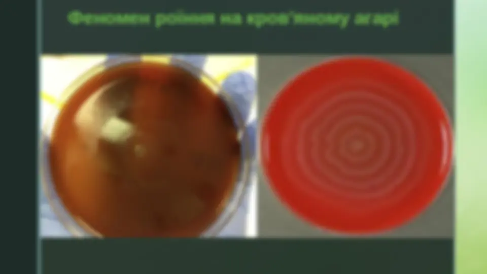 pfa