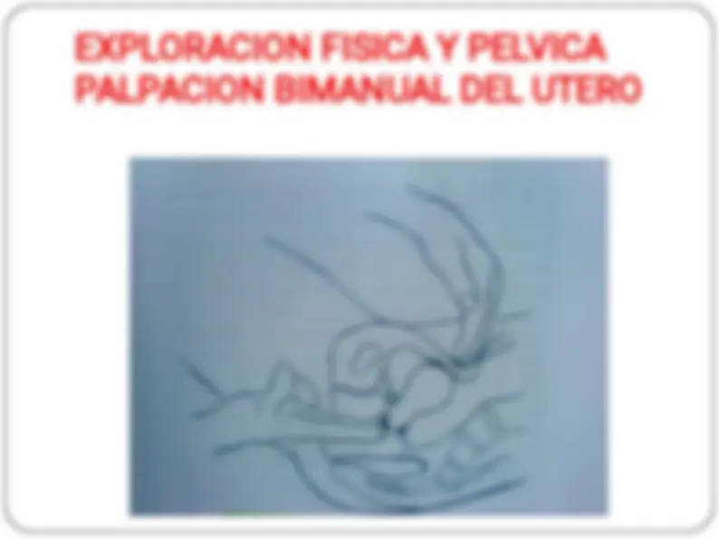 pf19