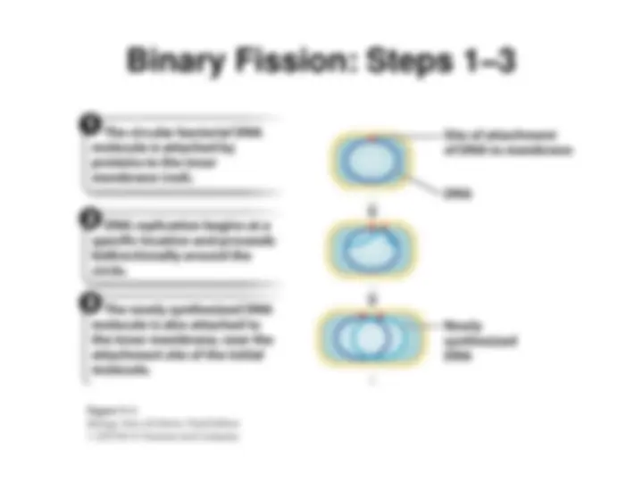 BIO 151 Cell Division Chapter 11 3rd edition Latest solution | Exams ...
