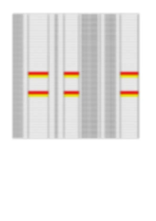 pf34