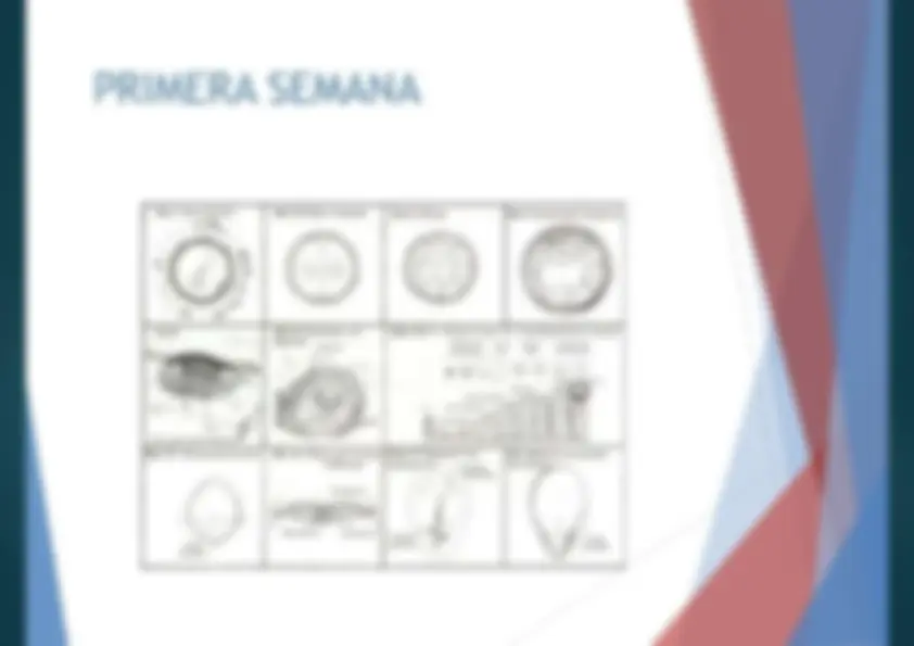 pf3