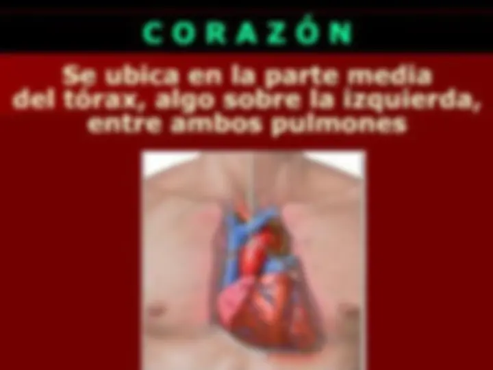 pf5