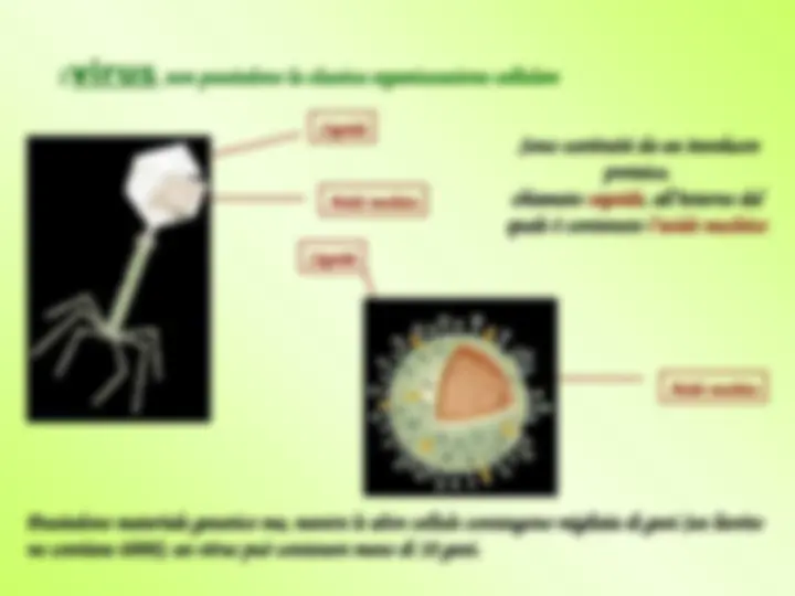 pf5