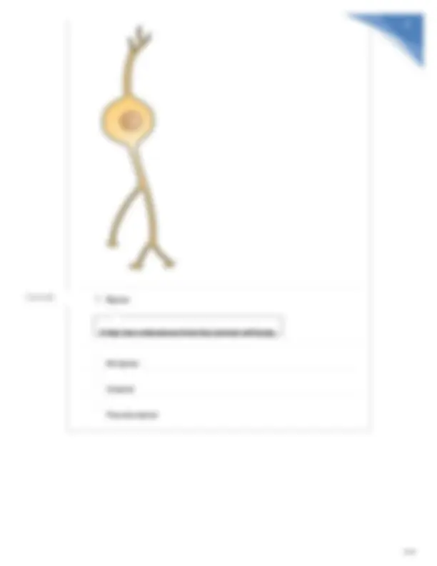 Portage Learning BIOD 152 Anatomy and Physiology A&P Module 1 Exam ...