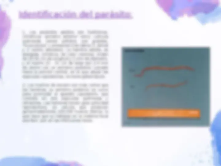 pfd