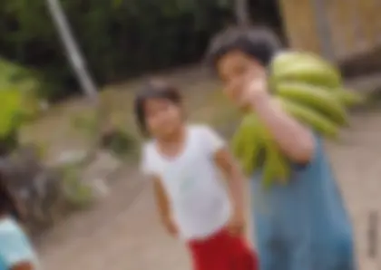 pf4f