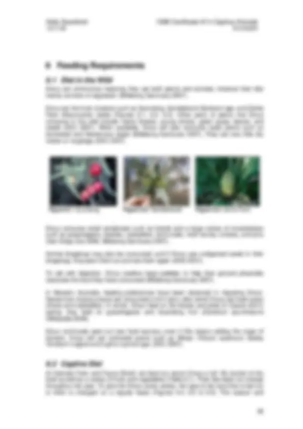 pf24