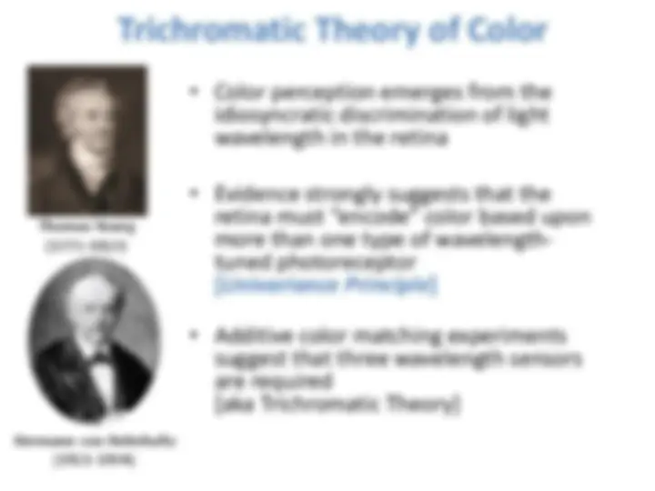 pf14