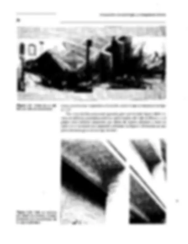 pf21