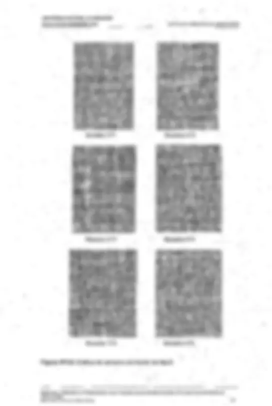 pf48