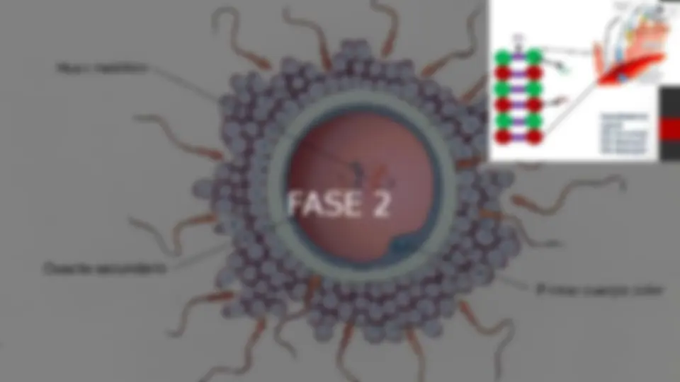 pf4