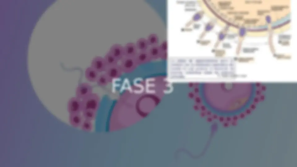 pf5