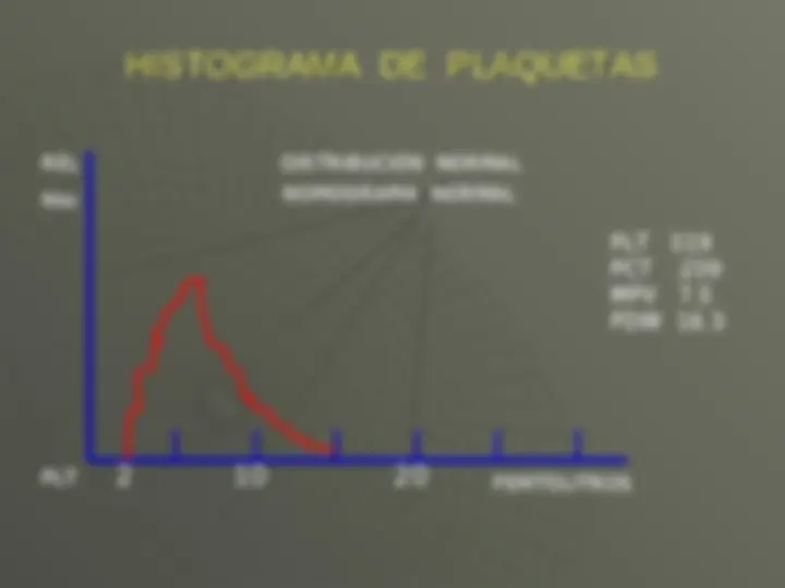 pf19
