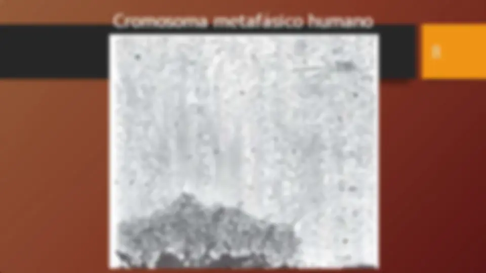 pf8
