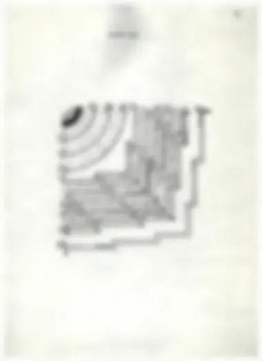 pf54