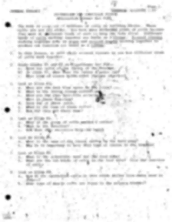 pf53