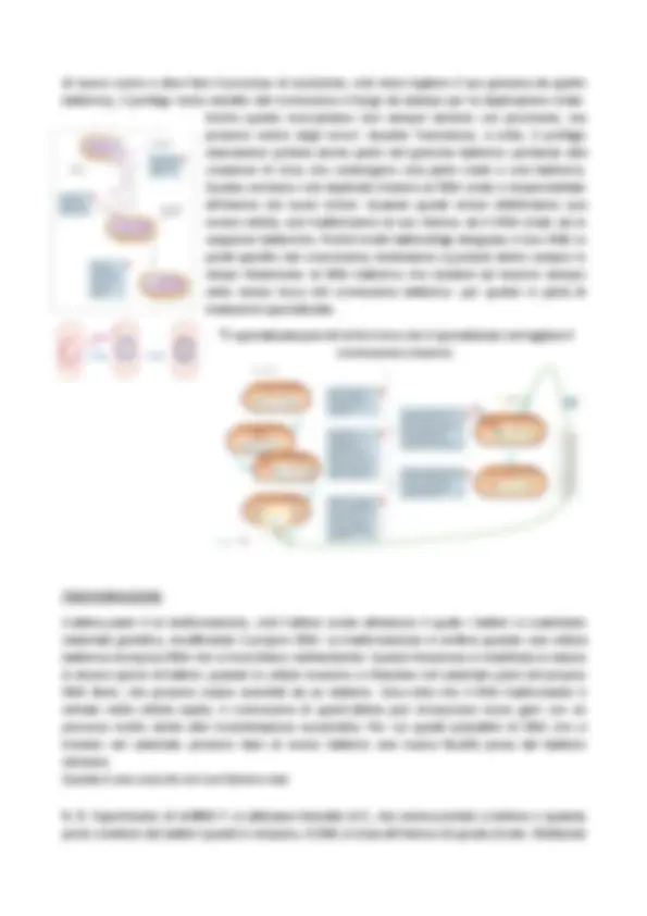 pfd
