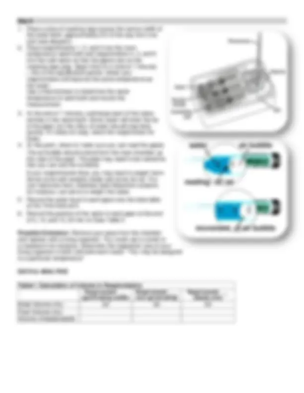 Cell Respiration Experiment: Measuring Oxygen Consumption in ...