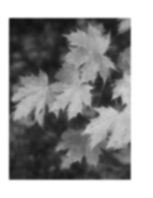 pf5