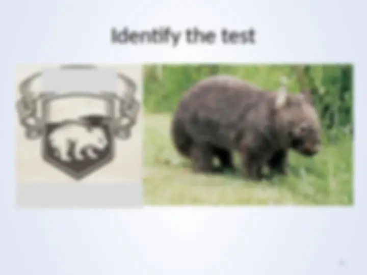pff