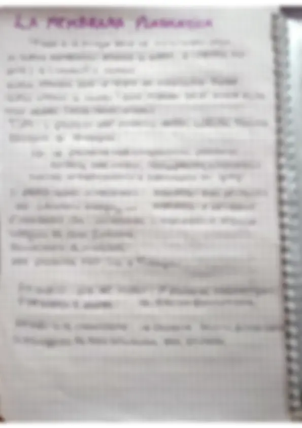 pf5