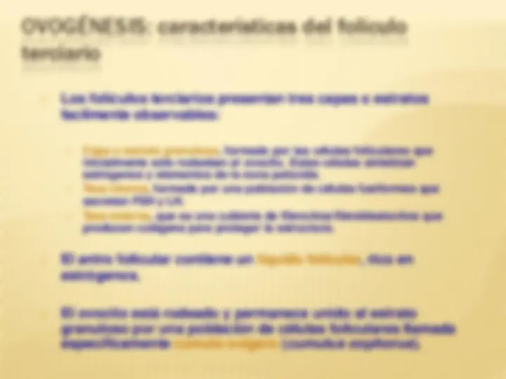 pf14