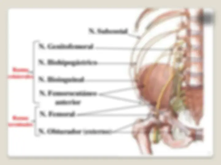 pfa