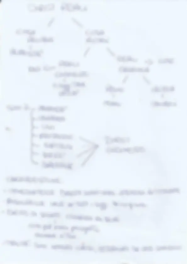 pf3