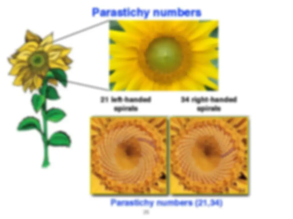 pf19