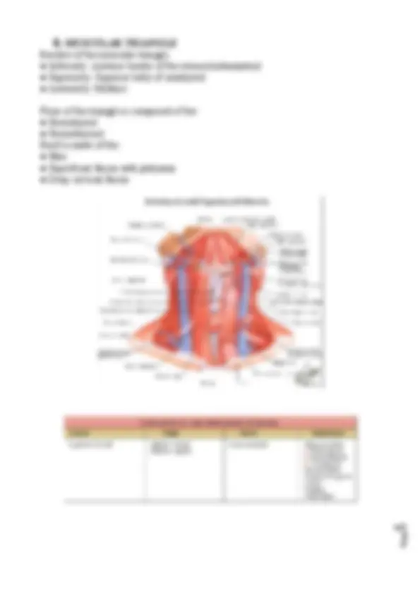 pf5