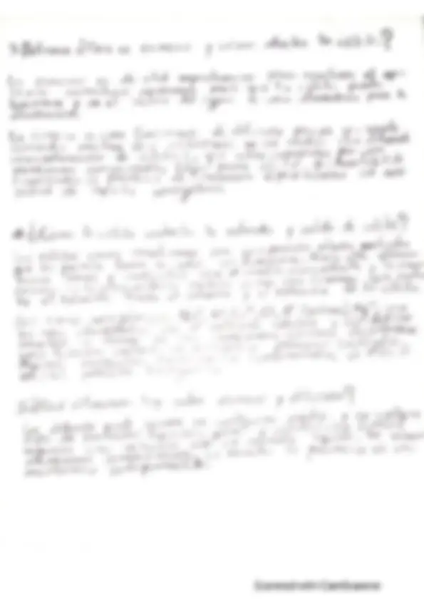 pf21