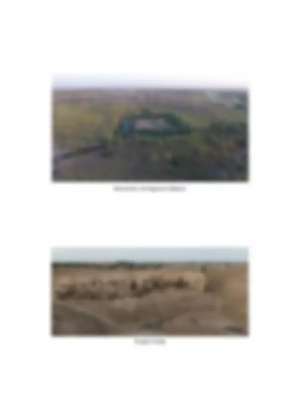 pfe