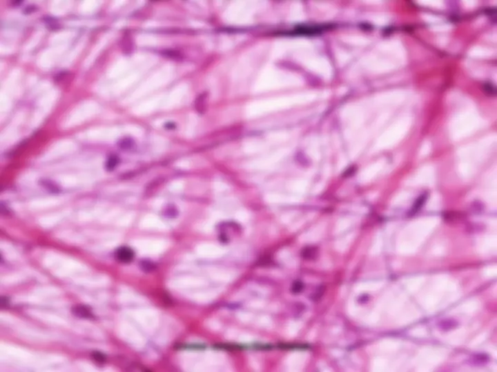 pf1a