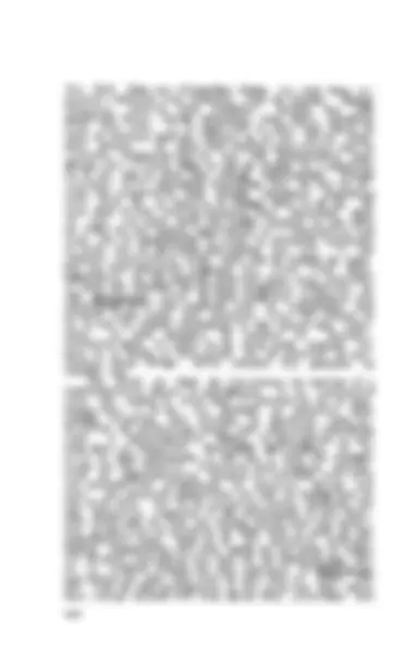 pf8