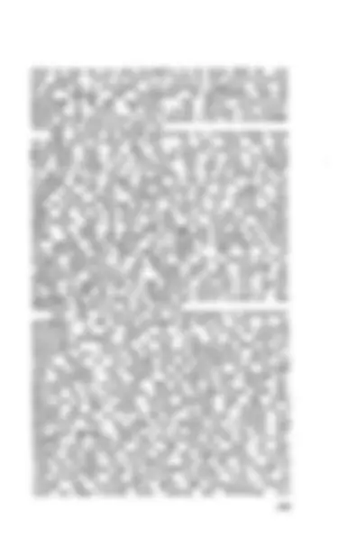 pf5