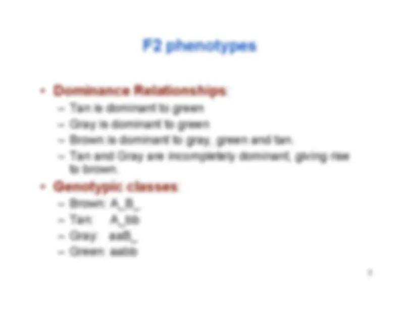 pf5